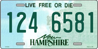 NH license plate 1246581