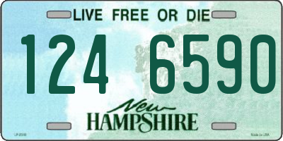 NH license plate 1246590