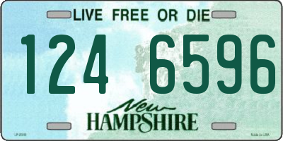 NH license plate 1246596