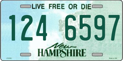 NH license plate 1246597