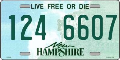 NH license plate 1246607