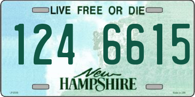 NH license plate 1246615