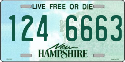 NH license plate 1246663