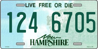 NH license plate 1246705