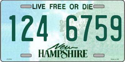 NH license plate 1246759
