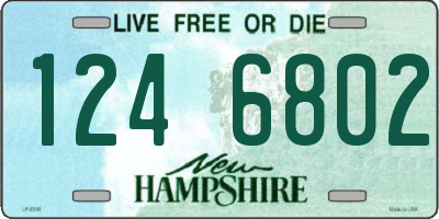 NH license plate 1246802