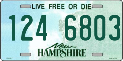 NH license plate 1246803