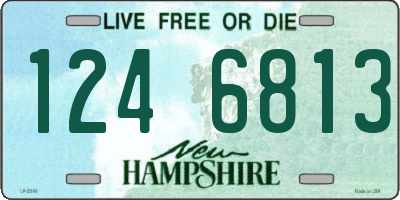NH license plate 1246813