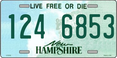 NH license plate 1246853
