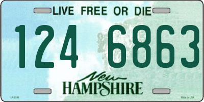 NH license plate 1246863