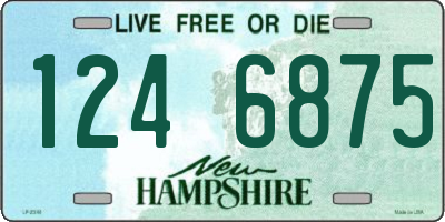 NH license plate 1246875