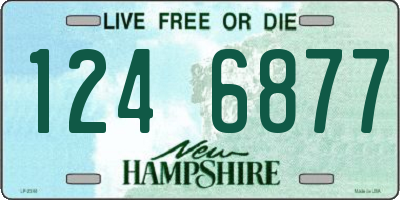 NH license plate 1246877