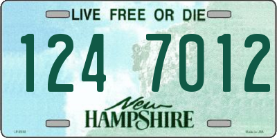 NH license plate 1247012