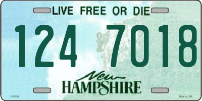 NH license plate 1247018