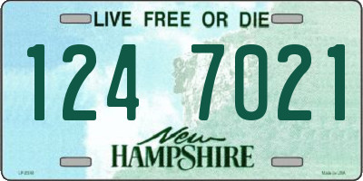 NH license plate 1247021