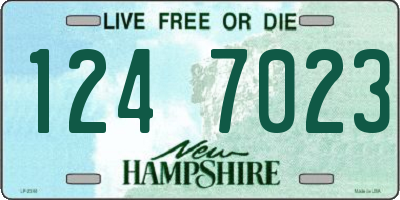 NH license plate 1247023