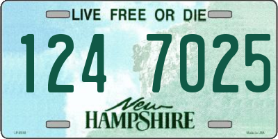 NH license plate 1247025