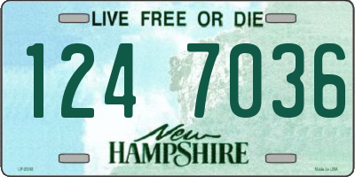 NH license plate 1247036