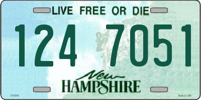 NH license plate 1247051