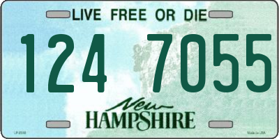 NH license plate 1247055