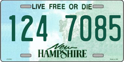 NH license plate 1247085