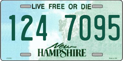 NH license plate 1247095