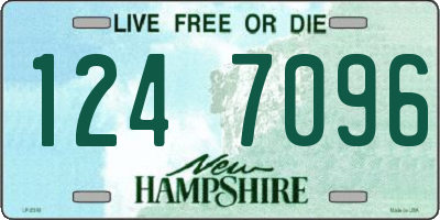 NH license plate 1247096