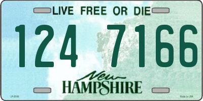NH license plate 1247166