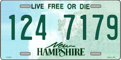 NH license plate 1247179