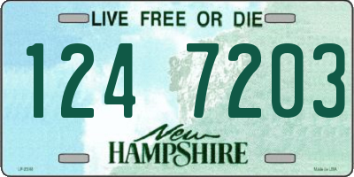 NH license plate 1247203
