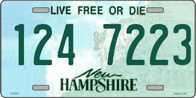 NH license plate 1247223
