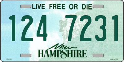 NH license plate 1247231