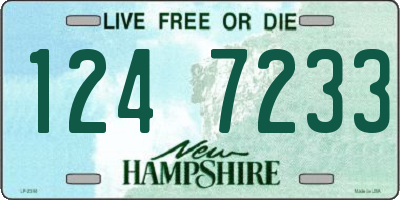 NH license plate 1247233