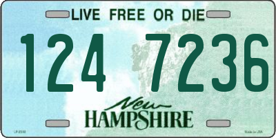 NH license plate 1247236