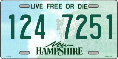 NH license plate 1247251
