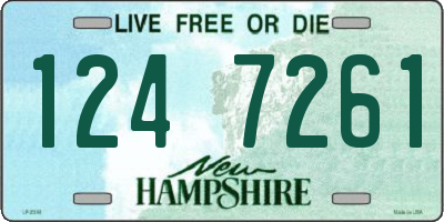 NH license plate 1247261