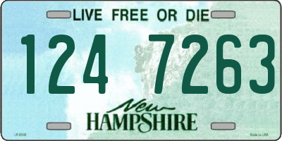 NH license plate 1247263