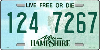 NH license plate 1247267