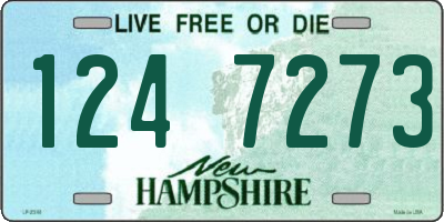 NH license plate 1247273