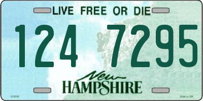 NH license plate 1247295