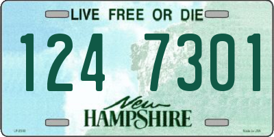 NH license plate 1247301