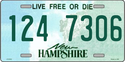 NH license plate 1247306