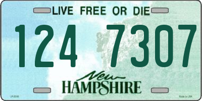 NH license plate 1247307