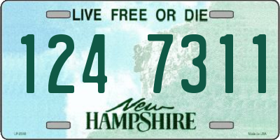 NH license plate 1247311