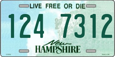NH license plate 1247312