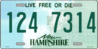 NH license plate 1247314