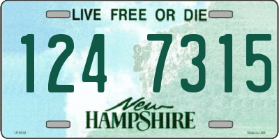 NH license plate 1247315