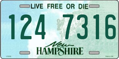 NH license plate 1247316