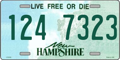 NH license plate 1247323