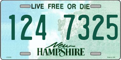 NH license plate 1247325